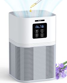 (Do Not Sell on Amazon) VEWIOR 2 in 1 Air Purifier with H13 Filters for Home Allergies Pets Hair Odor Eliminators, Aromatherapy diffuser and Auto